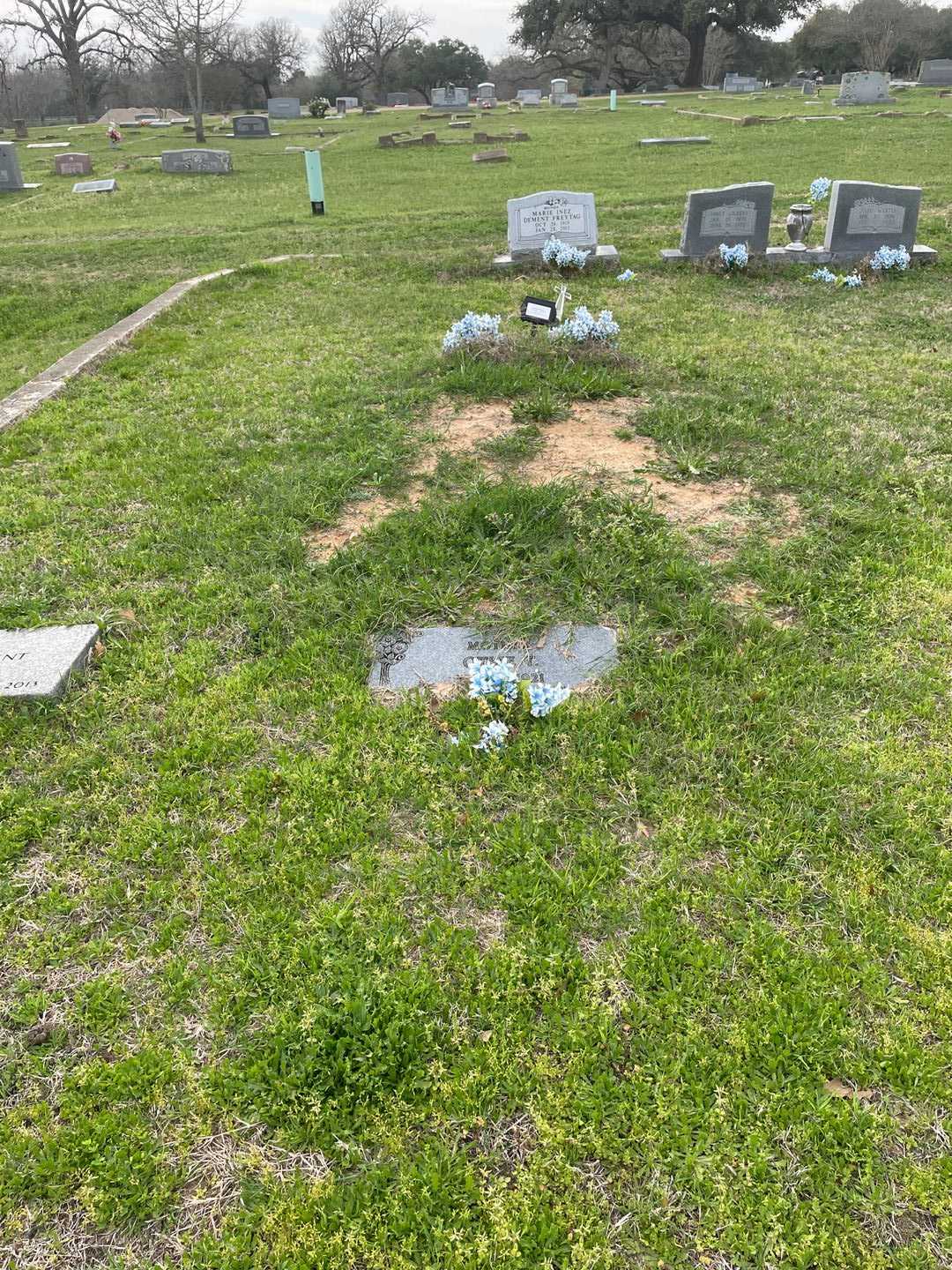 Otsie T. Dement's grave. Photo 2