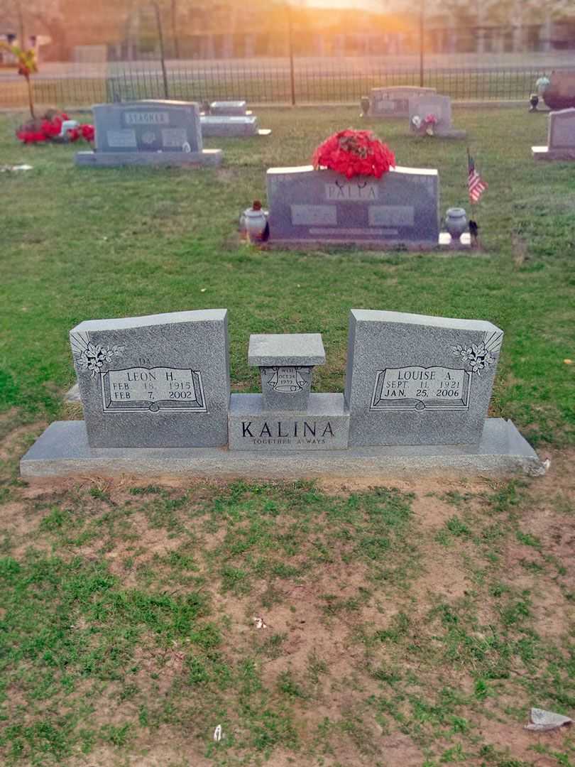 Leon H. Kalina's grave. Photo 2