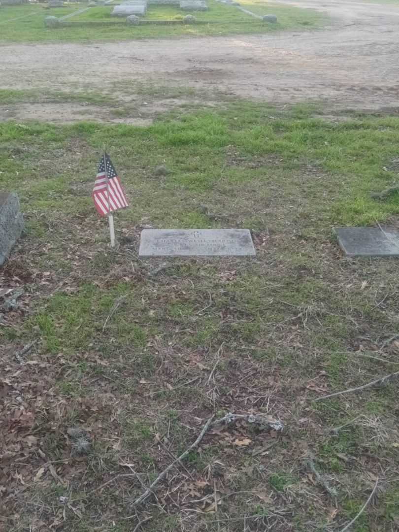 Charles Wesley Parish's grave. Photo 2