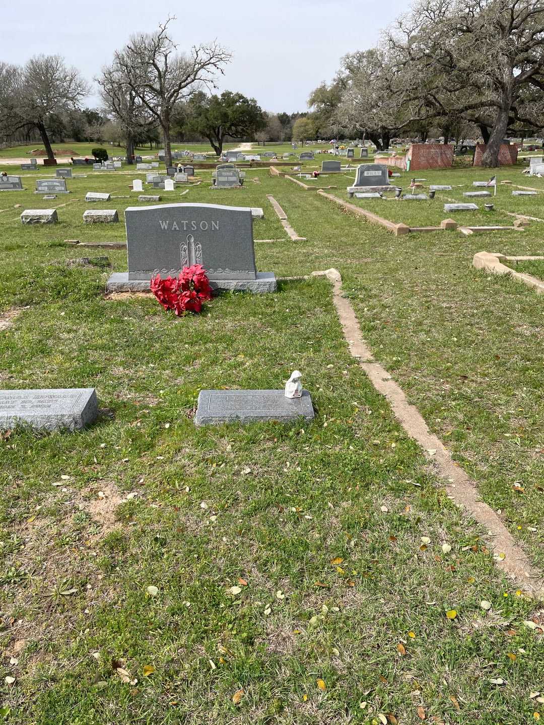 Ida Powell Watson's grave. Photo 2