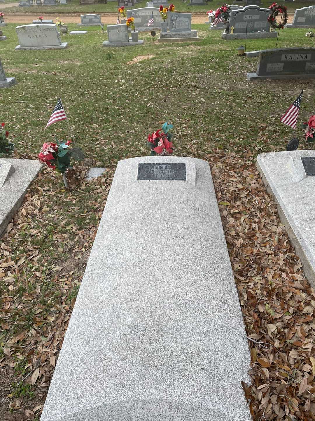 Tyna Jane Scoggins's grave. Photo 2