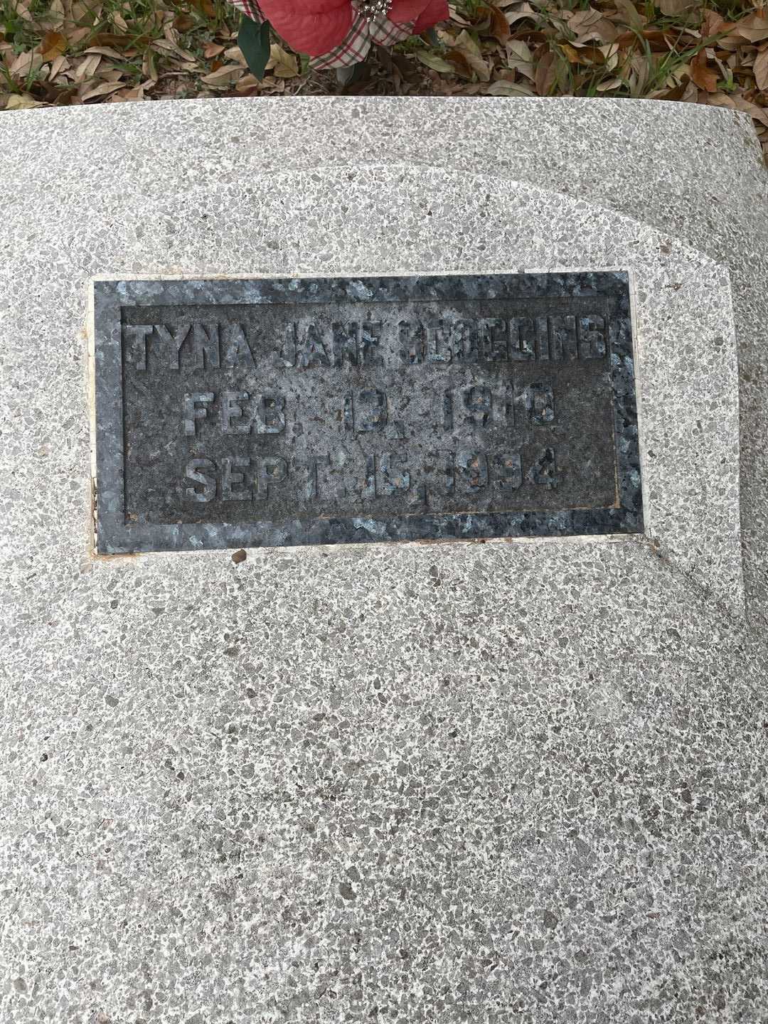 Tyna Jane Scoggins's grave. Photo 3