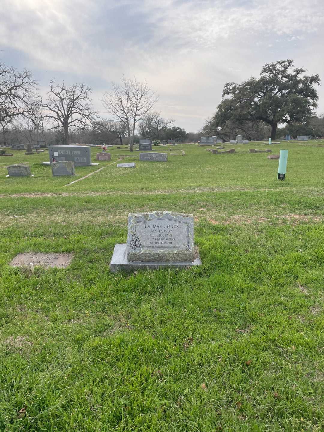 Ila Mae Jones's grave. Photo 2