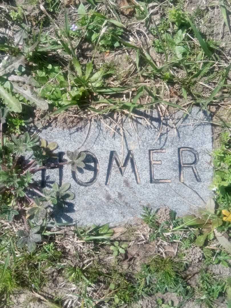 Homer Dale Wade's grave. Photo 4